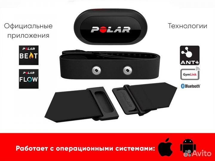 Polar H10