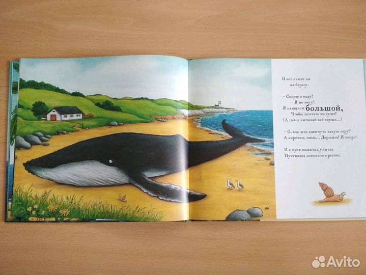 Улитка и кит в пленке