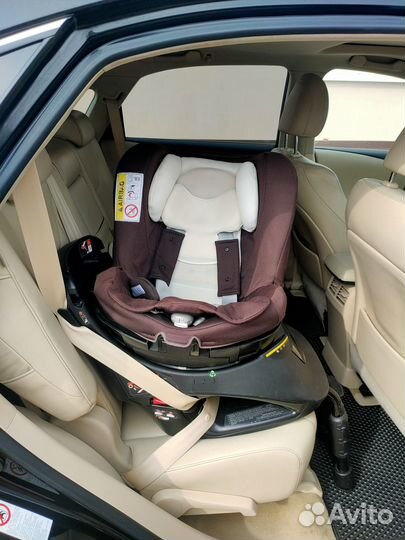 Ailebebe Carmate Kurutto NT2 Premium