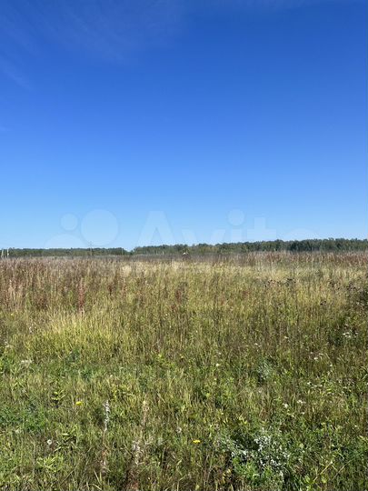 Участок 75 сот. (СНТ, ДНП)