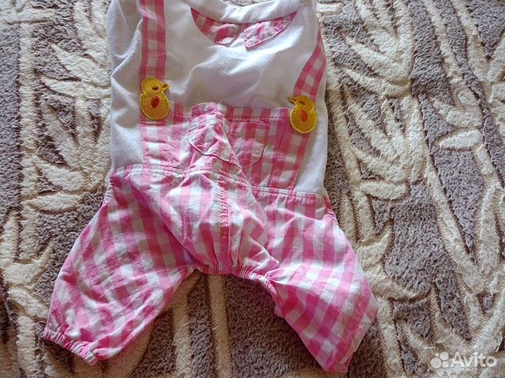 Одежда собакам