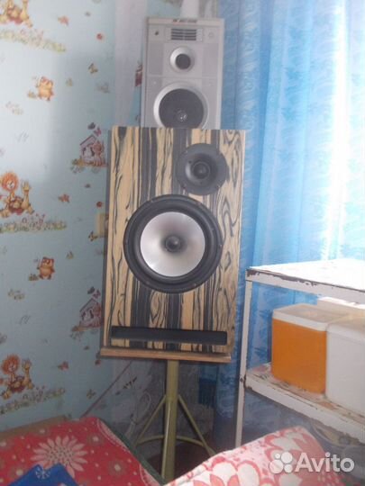 Акустическая система