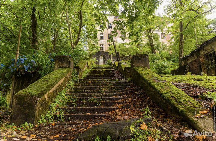 Джип-тур: Заброшенная Абхазия