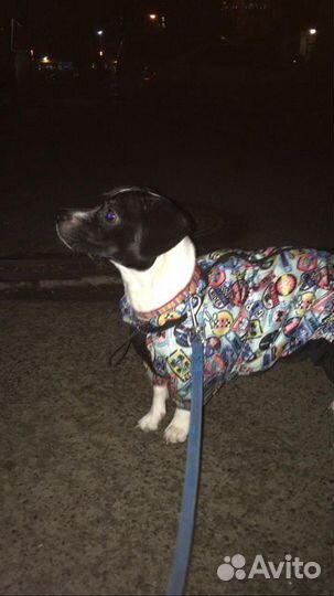 Передержка в домашних условиях