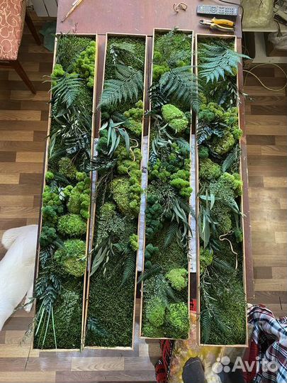 Сет из панно со стабилизированным мхом и растениям