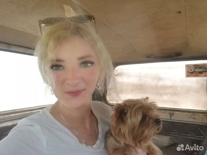 Кэтситтер, Котоняня, Зооняня, Няня для животных