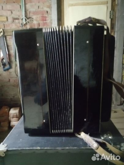 Баян тульский