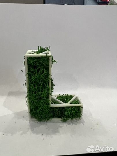 Буквы из мха