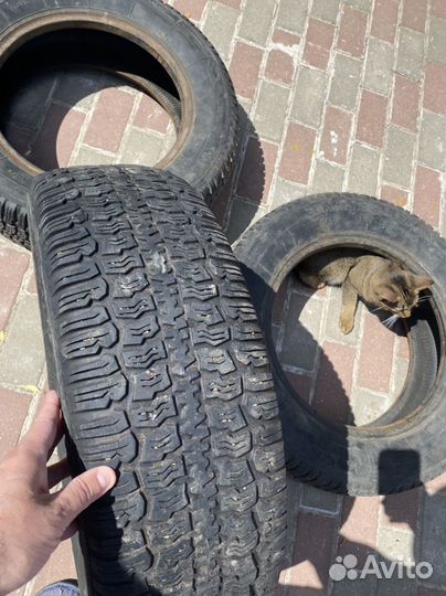 КАМА Кама-Flame 205/70 R16