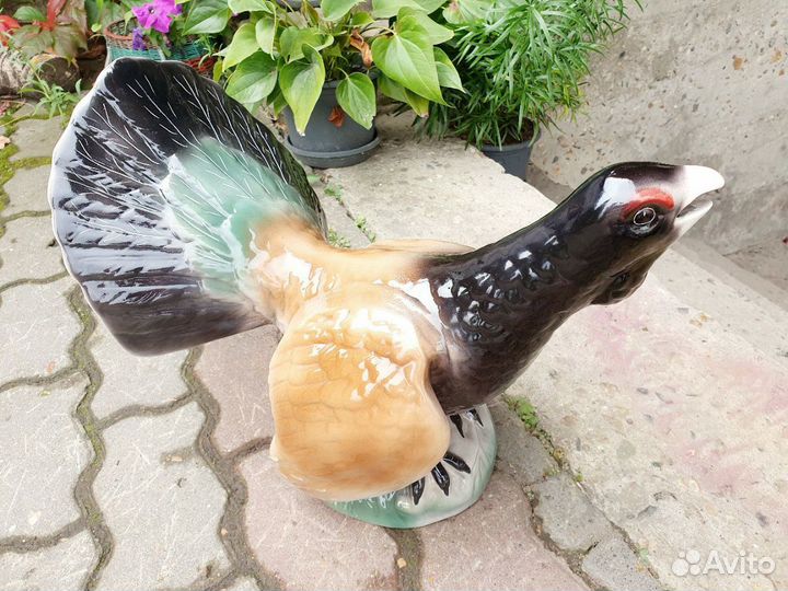 Большой глухарь