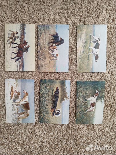 Почтовые карточки