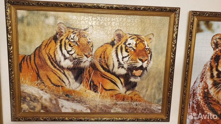 Картины пазл. Собранные. В рамках