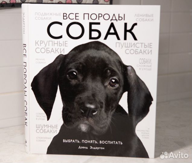 Книга Все породы собак