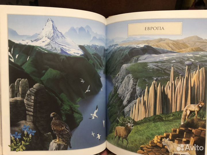 Энциклопедии