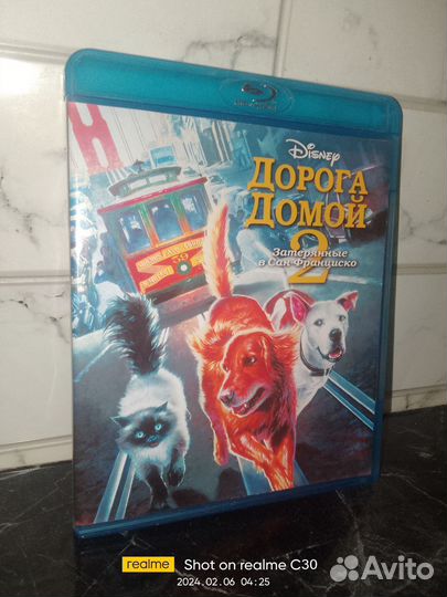 Дорога домой 2: Затерянные в Сан-Франциско 1996