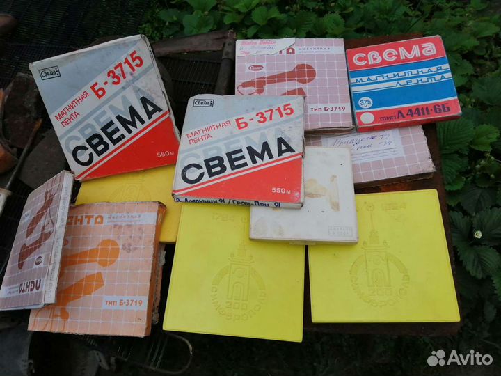 Магнитная пленка