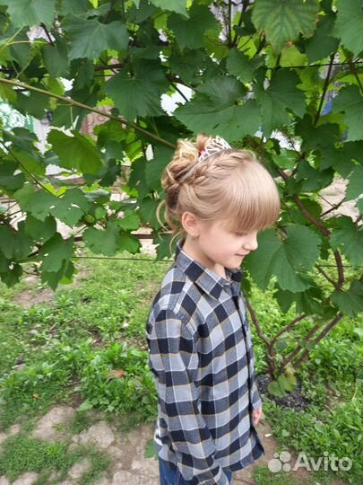 Стрижка женская, мужская, детскаяна дому