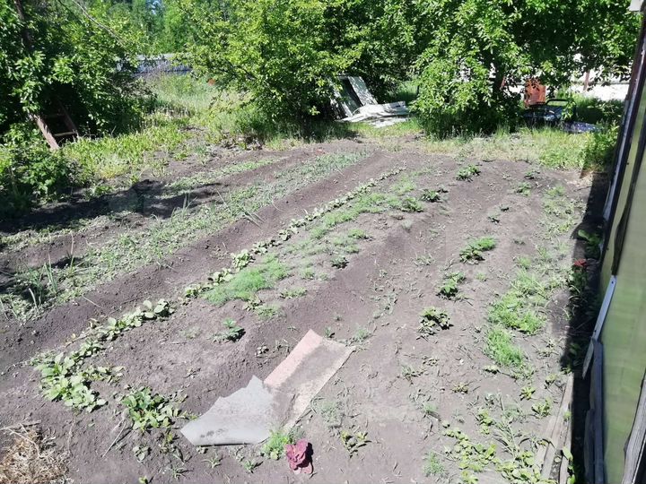 Дача 36 м² на участке 5,5 сот.