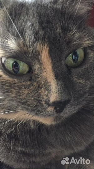 Хорошое настроение