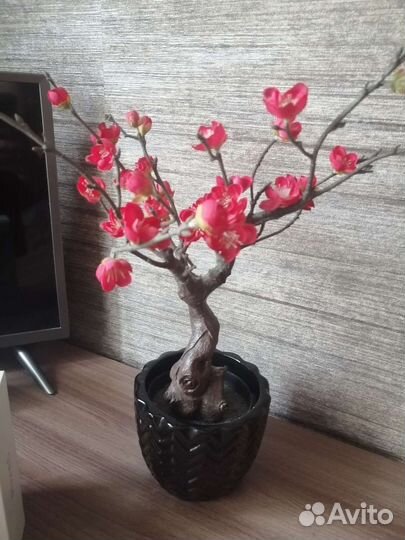 Ваза, фруктовница, искусственая сакура