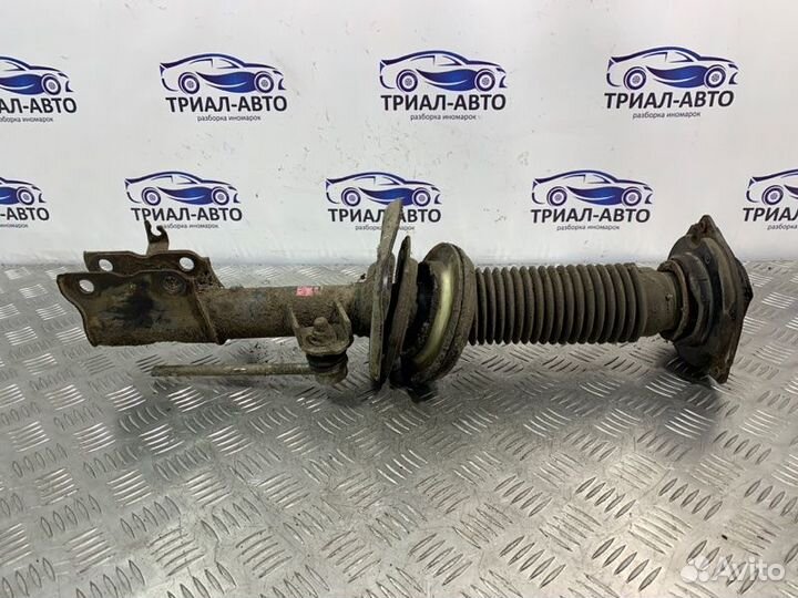 Амортизатор Передний Левый Дорест X-Trail T31 2010