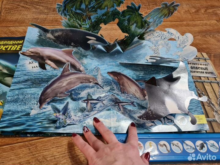 Музыкальные книги и книги-панорамы