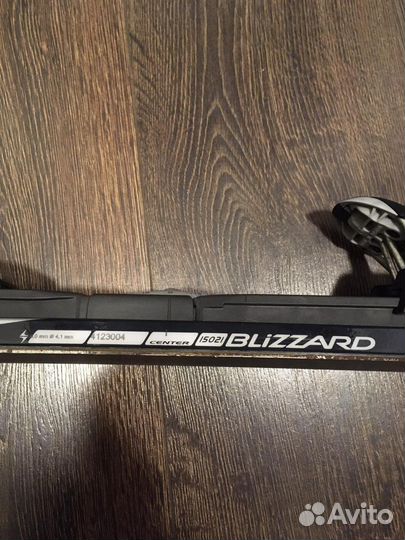 Горные лыжи