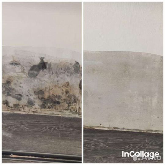 Уничтожение удаление плесени и грибка