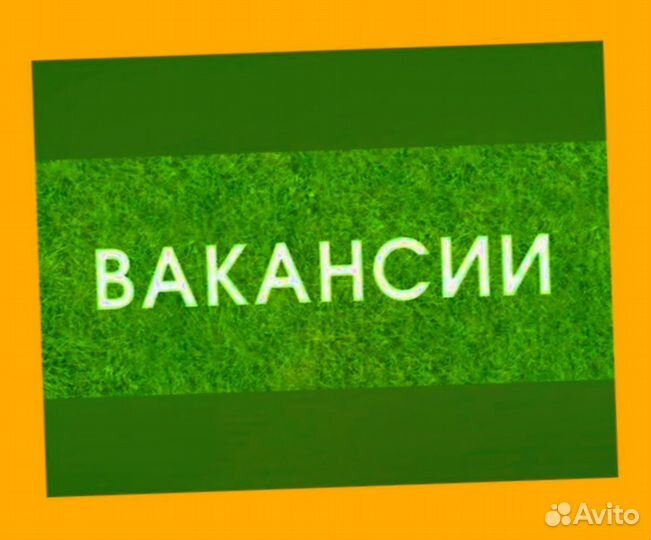Комплектовщик Спецодежда Еженедельный аванс М/Ж
