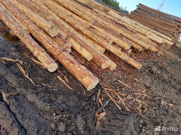 Срубы, сруб, зимний лес