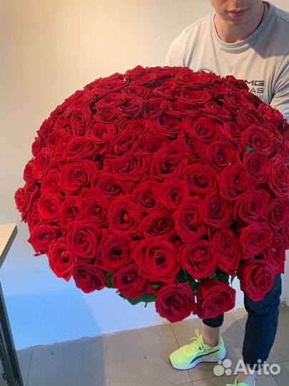 Свежие розы. 25 роз. 51 роза