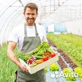 Вахта. Разнорабочие в теплицы