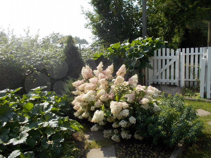 Дача 58,2 м² на участке 4 сот.