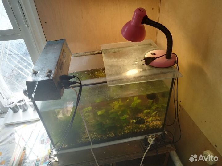 Аквариумы разного объёма б/у