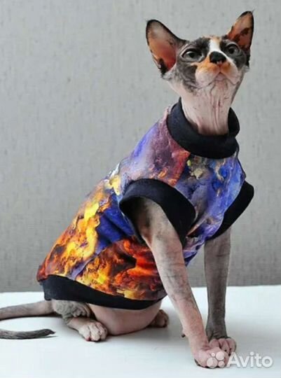 Одежда для кошек и собак