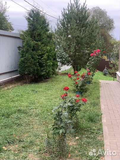 Беседка с мангалом аренда