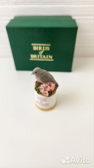 Наперсток птицы Британии