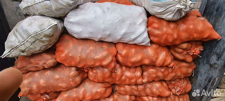 Картошка оптом 37рублей
