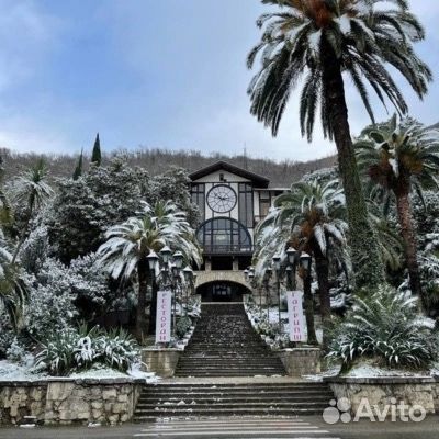 Горящие туры в Абхазию Золотое Кольцо