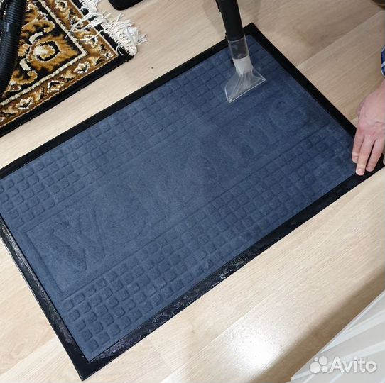 Моющий пылесос Karcher SE4001