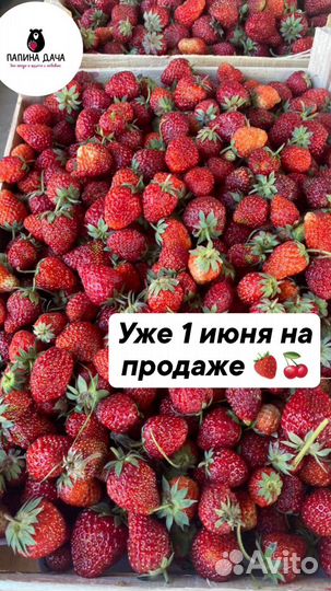 Ягоды С кыргызстана