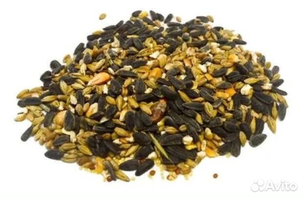 Комбикорма от Доброго Барсука