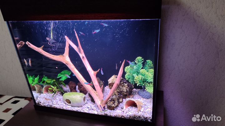 Аквариум 70л