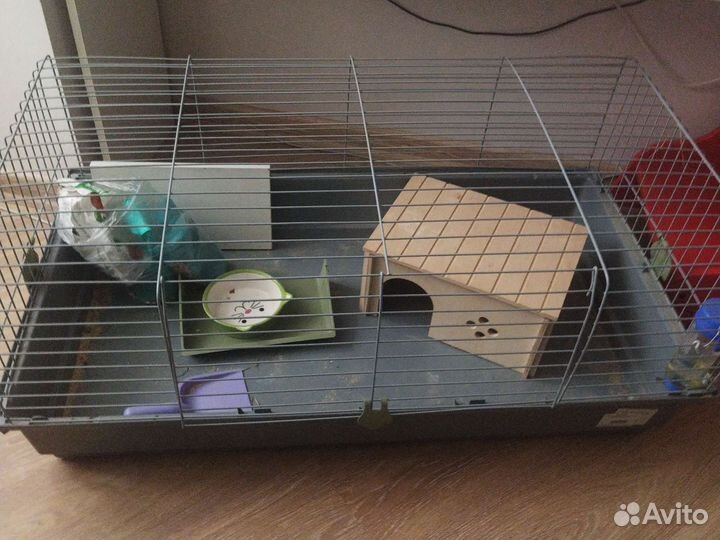 Клетка для грызунов очень большая