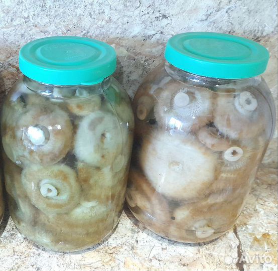 Грибы грузди солёные 2023