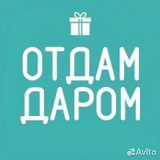 Вещи пакетом на девушку 40 42