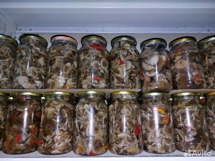 Грибы маринованные