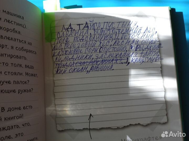 3 книга дневник стива