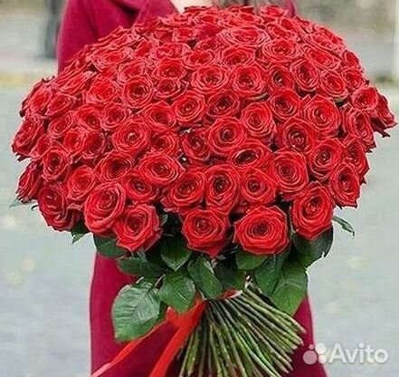 51 Роза, Букеты Цветы Розы 25 101 501 1001