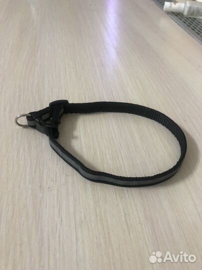 Поводок и ошейник для кошек